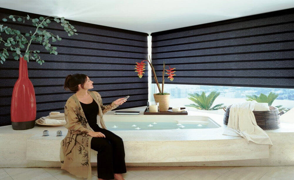 Motorized Blinds